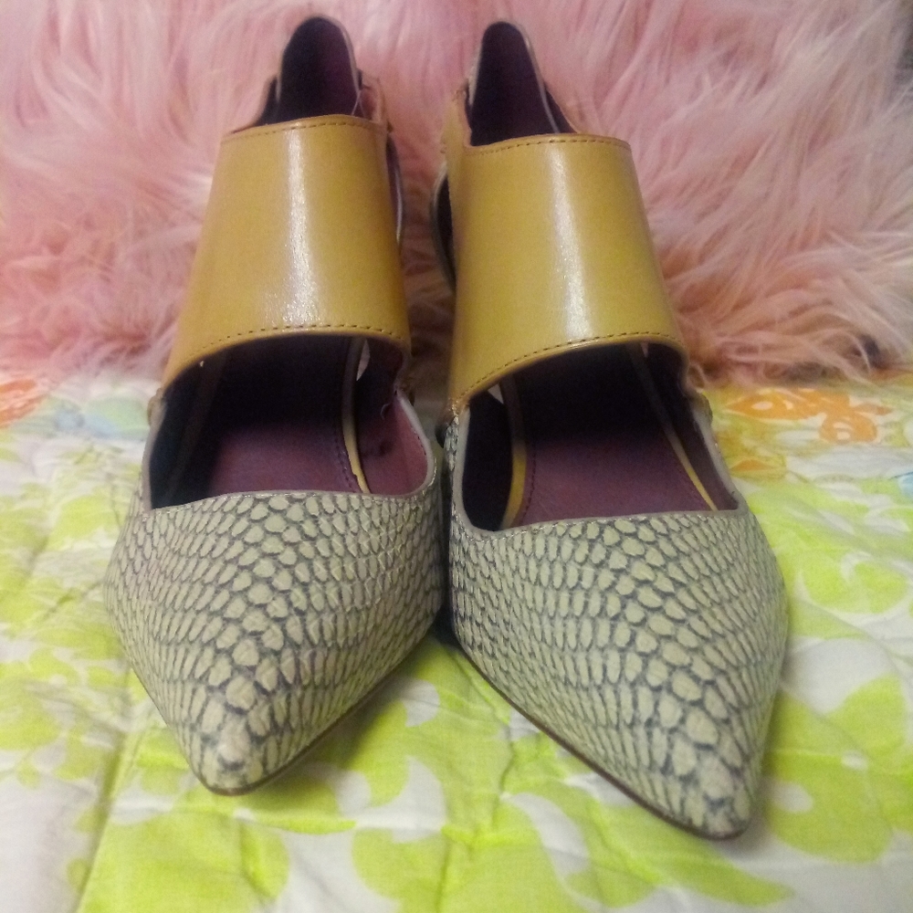 Coach snake print pumps/heels